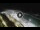 Webcam in Bajamar (Tenerife), 465.7 km