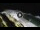 Webcam in Bajamar (Tenerife), 5.3 mi away