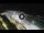 Webcam in Bajamar (Tenerife), 468.3 km