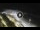 Webcam in Bajamar (Teneriffa), 16.6 km entfernt