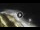 Webcam in Bajamar (Tenerife), 456.4 km