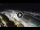 Webcam in Bajamar (Tenerife), 16.6 km