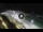 Webcam in Bajamar (Tenerife), 461.1 km