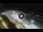 Webcam in Bajamar (Tenerife), 5.3 mi away