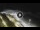 Webcam in Bajamar (Tenerife), 177.1 mi away