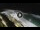 Webcam in Bajamar (Tenerife), 5.3 mi away