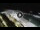 Webcam in Bajamar (Tenerife), 13.8 km