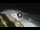 Webcam in Bajamar (Teneriffa), 500.7 km entfernt