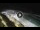 Webcam in Bajamar (Tenerife), 5.3 mi away