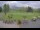 Webcam in Kitzbühel, 6.7 km entfernt