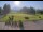 Webcam in Kitzbuhel, 3.9 km