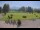 Webcam in Kitzbühel, 5 km