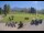 Webcam in Kitzbuhel, 1.6 mi away
