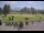 Webcam in Kitzbühel, 3.6 km
