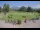 Webcam in Kitzbühel, 3.6 km entfernt