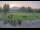 Webcam in Kitzbühel, 6.7 km entfernt