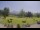 Webcam in Kitzbühel, 4.1 km