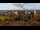Webcam in Berlin, 9 km entfernt