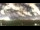 Webcam in Mackay, 0 km entfernt