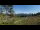 Webcam in Luchsingen, 3.3 km entfernt