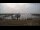 Webcam on Spiekeroog, 5.5 mi away