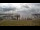 Webcam in Spiekeroog, 1.5 km
