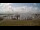 Webcam in Spiekeroog, 1.5 km