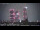 Webcam in Milan, 1.3 mi away