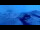 Webcam in Tignes, 1.7 km entfernt