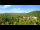 Webcam in Gatlinburg, Tennessee, 269.9 km