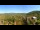 Webcam in Gatlinburg, Tennessee, 269.9 km