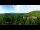 Webcam in Gatlinburg, Tennessee, 231.1 km