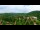 Webcam in Gatlinburg, Tennessee, 232 km