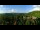 Webcam in Gatlinburg, Tennessee, 269.9 km