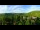 Webcam in Gatlinburg, Tennessee, 231.1 km