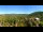 Webcam in Gatlinburg, Tennessee, 237.4 km