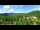 Webcam in Gatlinburg, Tennessee, 218.2 km