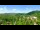 Webcam in Gatlinburg, Tennessee, 298 km