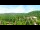 Webcam in Gatlinburg, Tennessee, 397.5 km entfernt