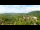 Webcam in Gatlinburg, Tennessee, 1.8 km