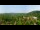 Webcam in Gatlinburg, Tennessee, 295.5 km entfernt