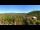 Webcam in Gatlinburg, Tennessee, 269.9 km
