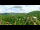 Webcam in Gatlinburg, Tennessee, 254.1 km