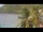 Webcam in Les Anses-d'Arlet, 8.5 mi away