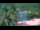 Webcam in Les Anses-d'Arlet, 89 mi away