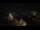 Webcam in Dives-sur-Mer, 0.7 mi away