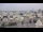 Webcam in Beaulieu-sur-Mer, 3.6 km