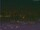 Webcam in Beijing, 1083 mi away