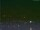 Webcam in Peking, 1651.1 km entfernt