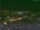 Webcam in Beijing, 42.4 mi away